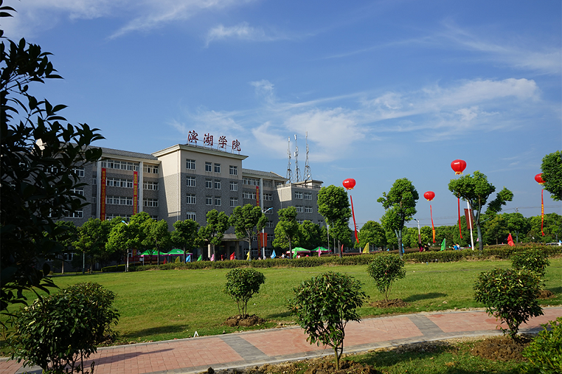 合肥濱湖學院